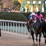 2019 Kentucky Derby Trifecta, Superfecta and Exacta Picks