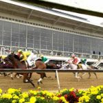 Early Preakness Stakes Betting Preview