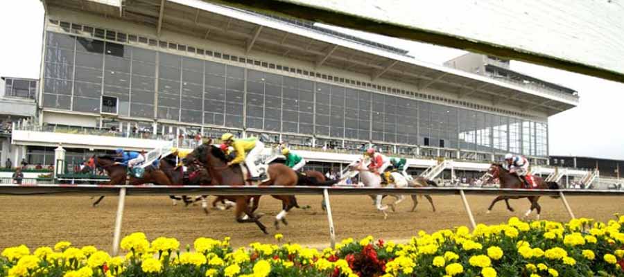 Early Preakness Stakes Betting Preview