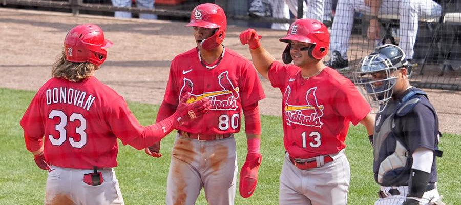 MLB St. Louis Cardinals Betting Predictions for the Upcoming 2023 Season