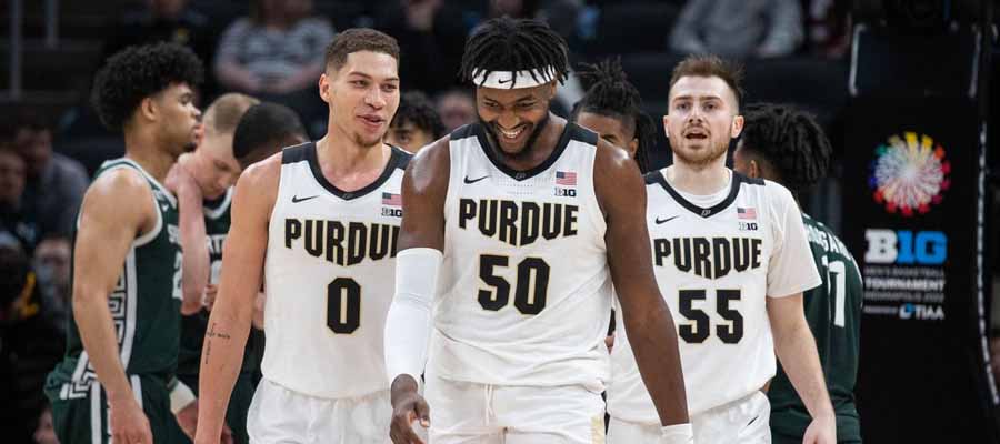 NCAA Basketball Betting: Can Purdue Win the National Championship?